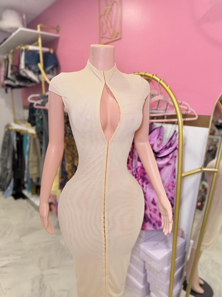 Joia Mesh Midi Dress