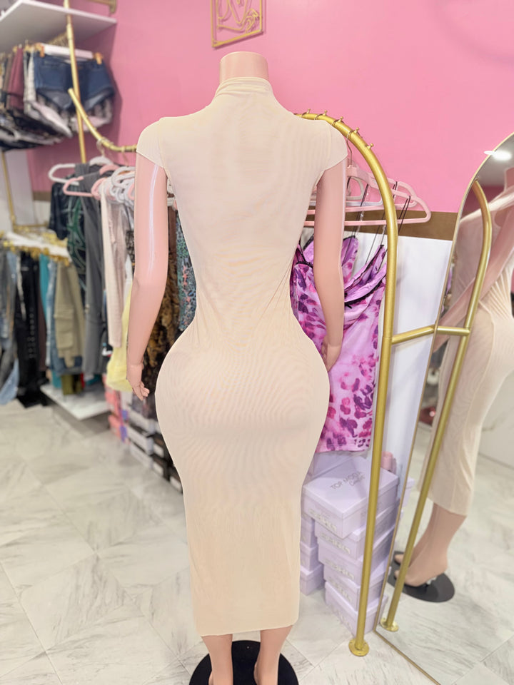 Joia Mesh Midi Dress