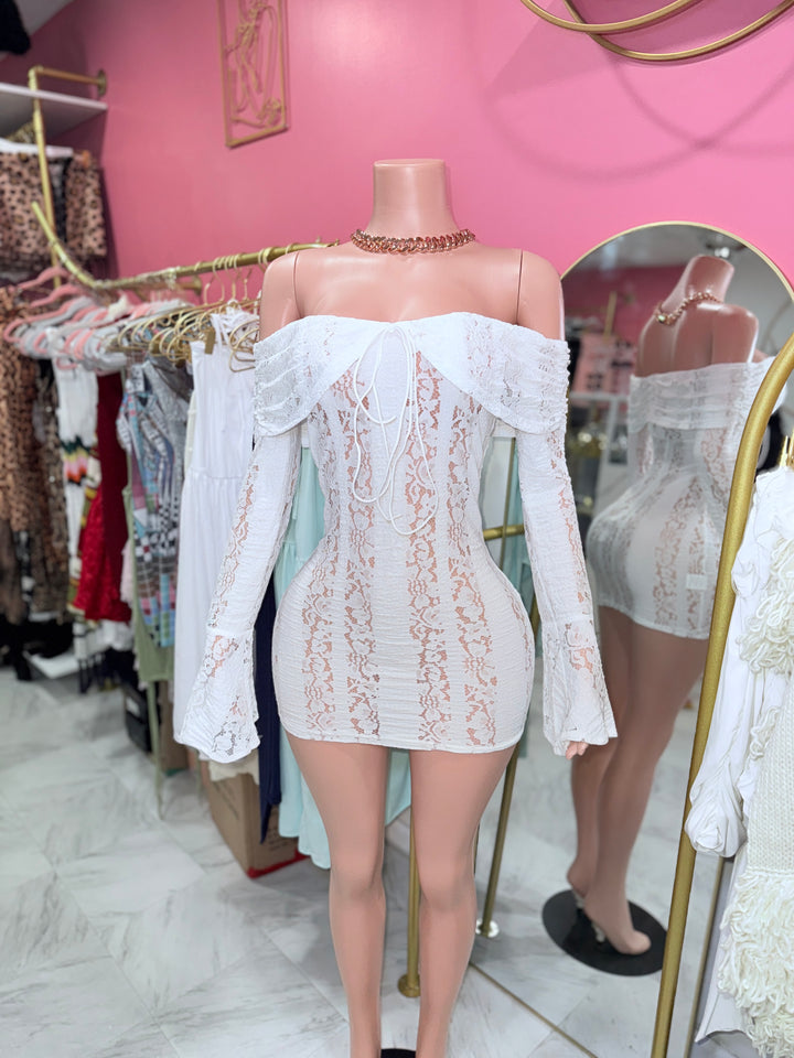 Lily Lace Mini Dress