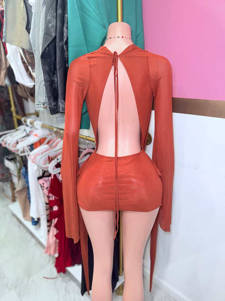 Angel Mesh Cowl Dress