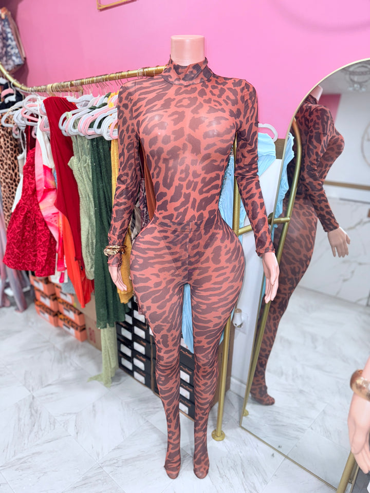 Wild Mesh Pants Set